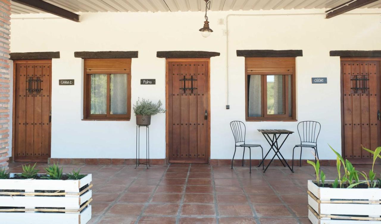 The Wild Olive Andalucia Agave Guestroom Casares Exterior photo